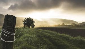 Agriculture in Latin America - What can the Australian market can expect?