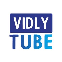 VidlyTube | Crunchbase