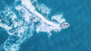 Rezdy collaborates with Tourism Tiger, Wherewolf, PicThrive and TOMIS