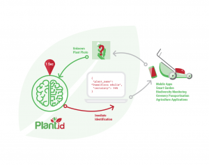 Plant.id success rate attacks 90%