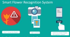 Deep learning software knows that a rose is a rose is a rosa rubiginosa