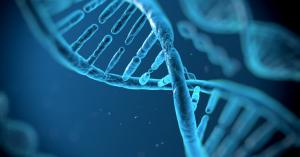 Apple’s Phil Schiller named to the board of DNA sequencing company Illumina