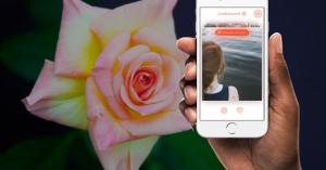 Threesome app 3nder renames to Feeld after Tinder lawsuit