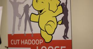 Latest AWS Elastic MapReduce release supports 16 Hadoop projects