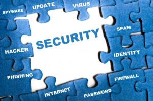 Which will Rely on to Identify Web Security Issues?