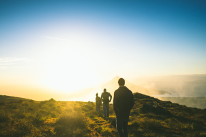 How DocDigitizer grew 6x in 2020!