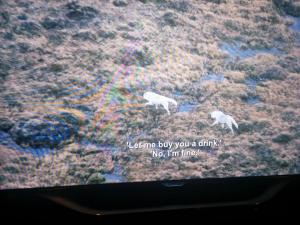 Netflix bug comically blends nature documentary with Azis Ansari's comedy