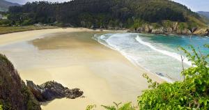 15 startups que buscarán situar a Galicia como Hub emprendedor en 2021