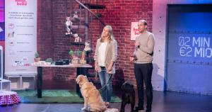 200.000 Euro für Hundefutter-Lieferservice
