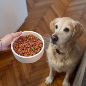 Täglich Frischfutter im Napf – geht das? – YOUR DOG Hundemagazin