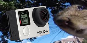 A squirrel stole a GoPro and the footage is surprisingly good