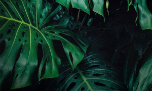 Sustain 100: the European sustainability startups to watch in 2021 | Sifted
