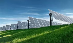 Revertir la crisis climática: el papel de Solaxy Group - ¿Cuál es tu huella?