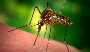 FDA finds further flaws in Theranos, this time around its Zika tests