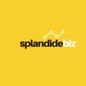 Splandidebiz Networking!