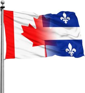 Immigrer au Canada avec l'aide des consultants réglementés