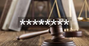 A court ruled that it could be a federal crime to share your Netflix password