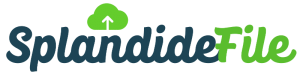 splandidefile sur Splandidebiz Réseautage