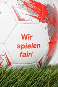The Trend Towards Sustainable Procurement in German Cities: A Case Study on Fairtrade Footballs in Halle (Saale)