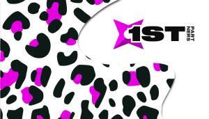 Review of 1st Partners: Tier-1 Gambling & Betting Direct Advertiser
