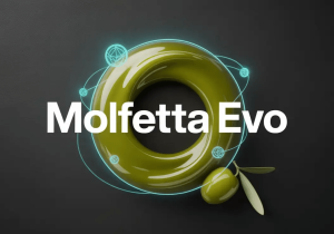 Torre Oliva EVO Oil with 14 NFTs: Blockchain-Verified from Grove to Can