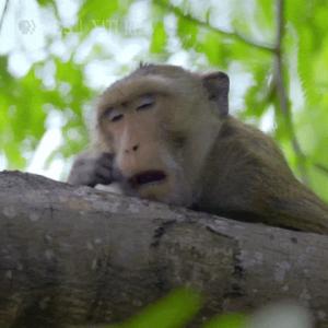 Mujo AI — Month One in the wild