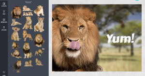 Design platform Canva raises $15 million more, doubles valuation to $345 million