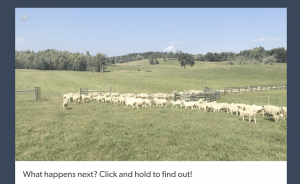 Tumblr brings Apple's 'Live Photos' to the web