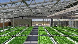 BrightFarms raises $30.1 million to set up futuristic greenhouses across the U.S.