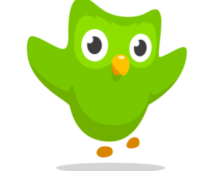 Duolingo Raises $20M Series C Led By Kleiner Perkins To Dominate Online Language Learning