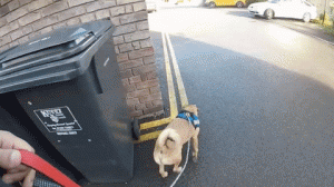 These videos painfully show how most people actually use their GoPro