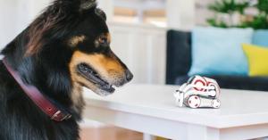 Cozmo can now recognize pets and see in the dark