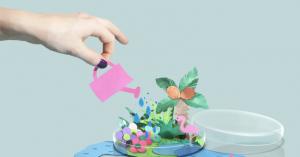 Growth as a false signal in Y Combinator startups