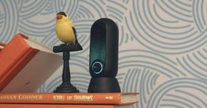 The Canary Flex is a cool little camera some kinks to work out
