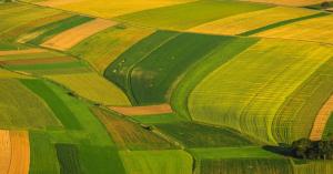 As Agriculture Tech Heats Up, Farm Management Startup VitalFields Scores Further $1.2M Funding