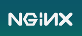 Russian Nginx Raises $3 Million From International Investors