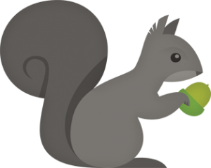 Sqrrl Raises $2 Million For Secure, Scalable Big Data Technology Originally Developed At NSA