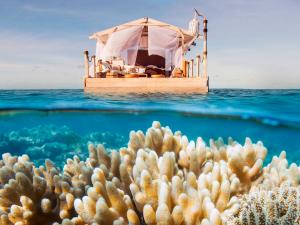 A floating home on the Great Barrier Reef might just be world’s most incredible Airbnb