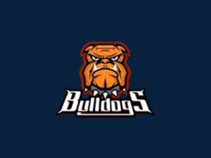 Web and Mobile Development for Kyiv Bulldogs | Mobilunity