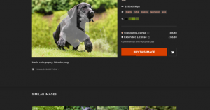 Lobster nets £1M to scale its user-generated content licensing marketplace