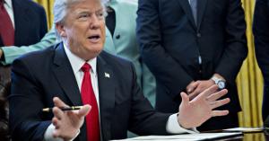 NVCA chair on immigration orders: “If you’re not at the table, you’re on the menu”