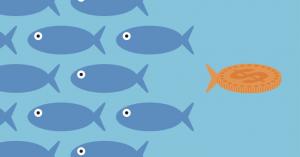 Cervin Ventures unveils new $56M fund aimed at the future of the enterprise stack