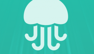 Pinterest acquires Jelly, the crowdsourced Q&A startup from Biz Stone