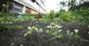 World Bank’s IFC investment firm invests $2M in Southeast Asian fund SeedPlus