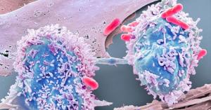 The Mednet launches its ‘Quora for cancer,’ an online medical knowledge base