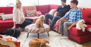 Rover and DogVacay merge to dominate the pet-sitting market