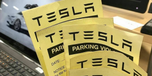 Tesla's smart AI could solve this dumb problem