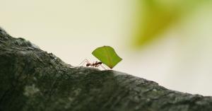 Alibaba’s Ant Financial may have won the bidding war for MoneyGram after upping its offer to $1.2B