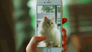 Apple releases a bit of code to let you put Live Photos on your sites