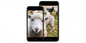 Apple fanboys are now in the official dictionary definition of 'sheeple'